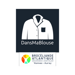 dansmablouse
